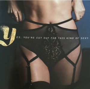 Victoria's Secret high waist thong garter NWT medium